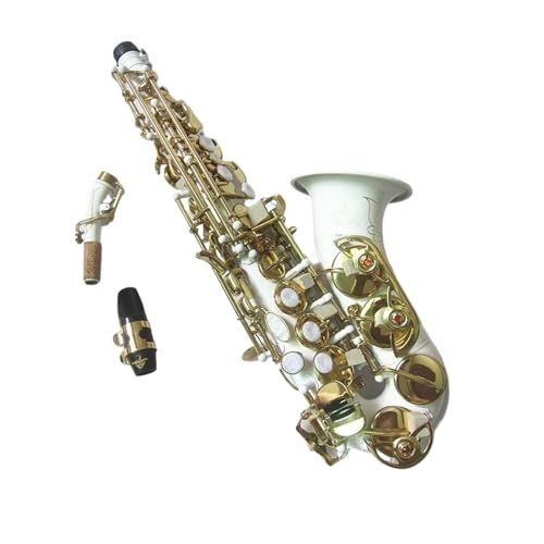 ソプラノカーブドサックス 金具付きマウスピースとリード8本付き 41u9+vT-8rL.jpg